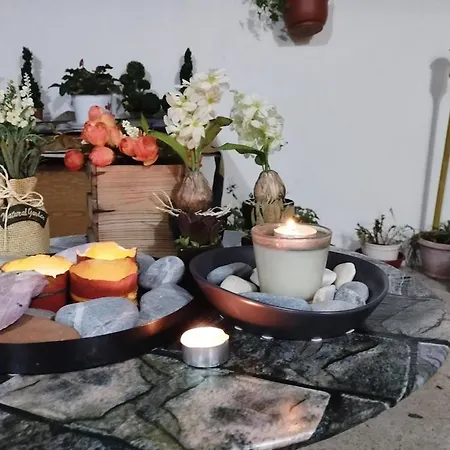 Renovated Basement Duplex With Patio And Folk Decor In The Heart Of